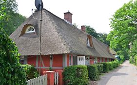 Wohnungen unter Reet
