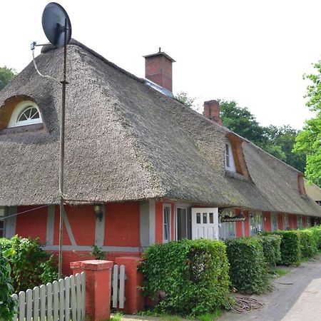 Wohnungen unter Reet Krems Zwei Exterior foto