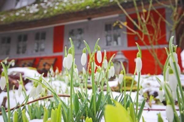 Wohnungen unter Reet Krems Zwei Exterior foto