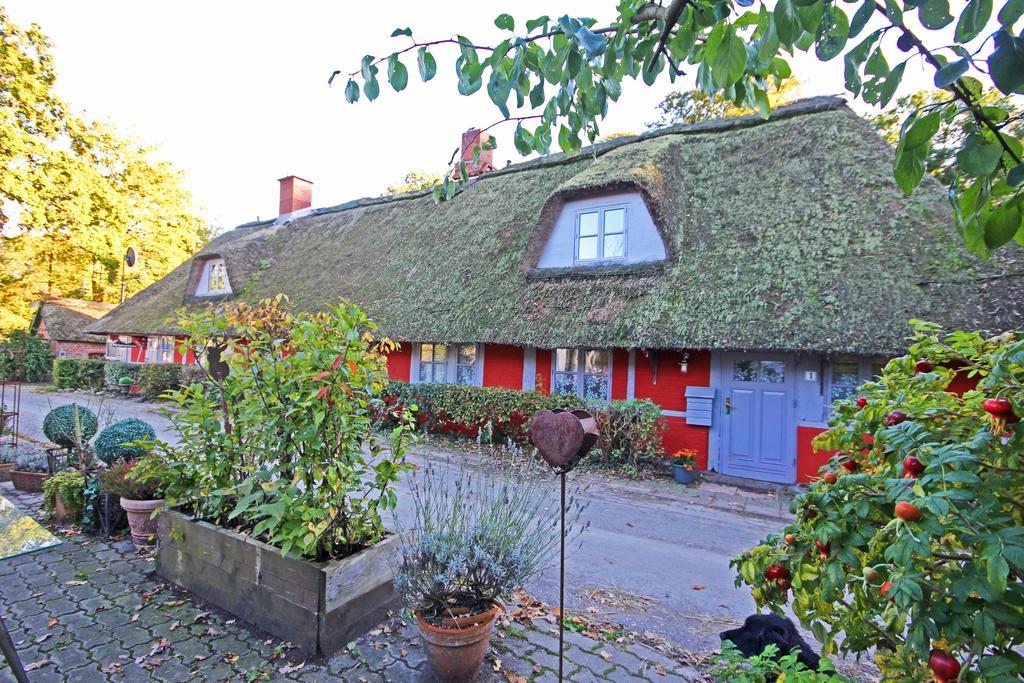 Wohnungen unter Reet Krems Zwei Exterior foto