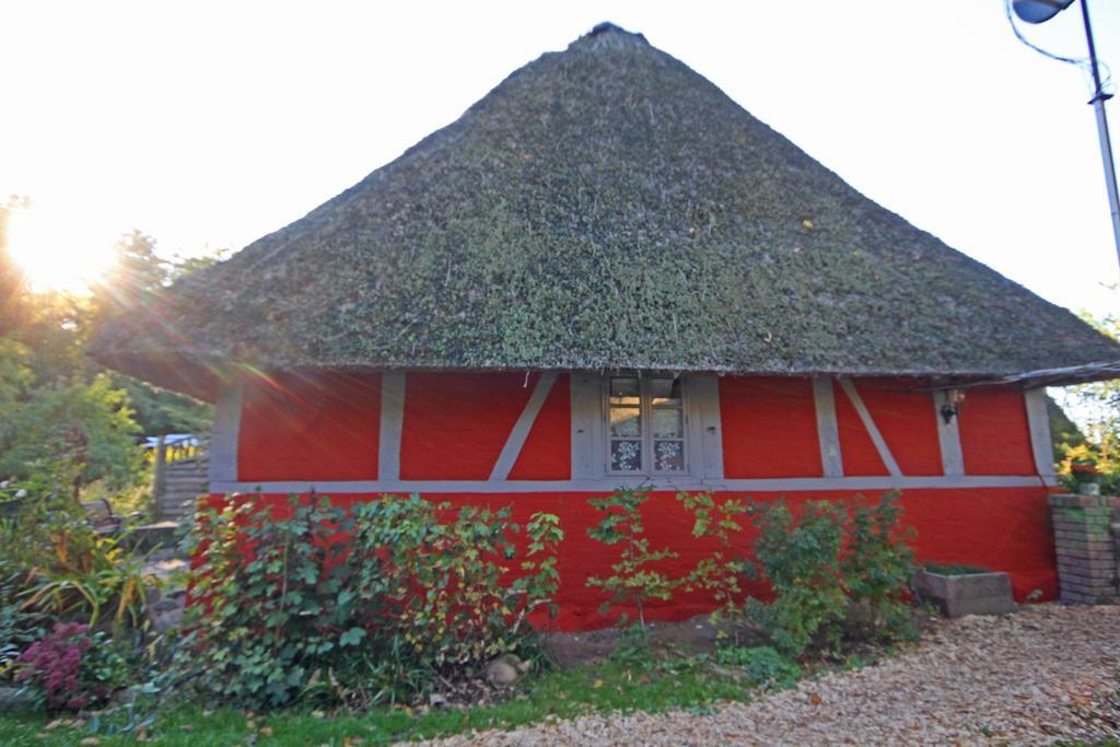 Wohnungen unter Reet Krems Zwei Exterior foto